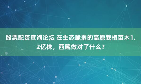 股票配资查询论坛 在生态脆弱的高原栽植苗木1.2亿株，西藏做对了什么？